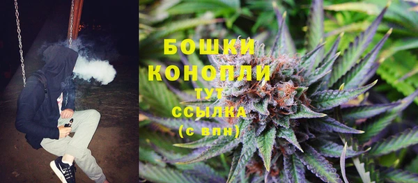 ECSTASY Армянск