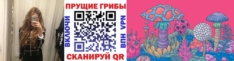 Галлюциногенные грибы GOLDEN TEACHER  Протвино 